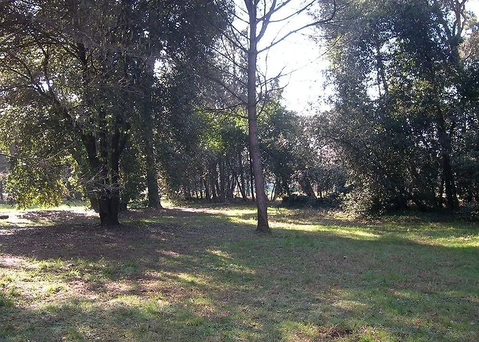 Отель Massimo 3*