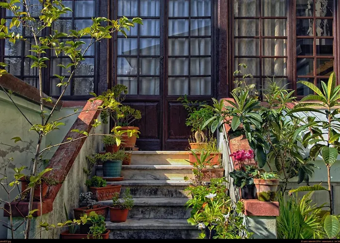 Massimo 3* Viareggio