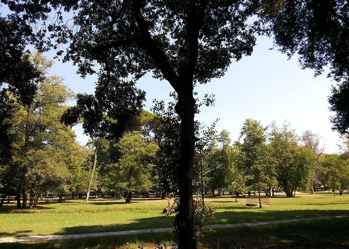 Hotel Massimo Viareggio