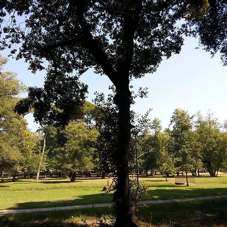 호텔 Massimo 비아레지오