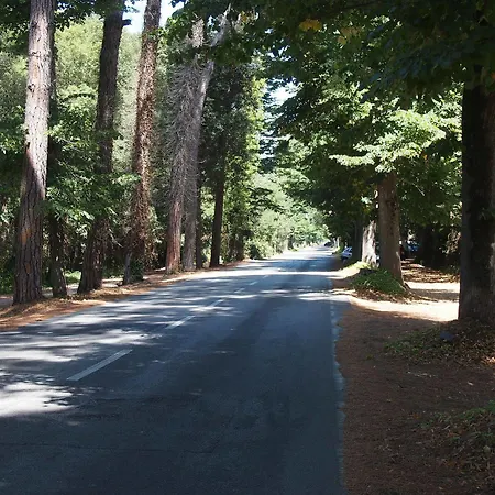 Massimo 3* Viareggio