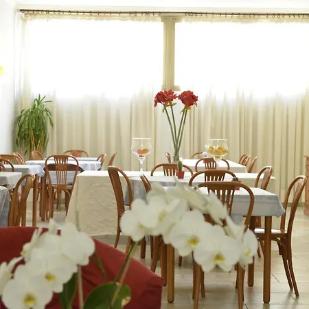Hotel Massimo Viareggio