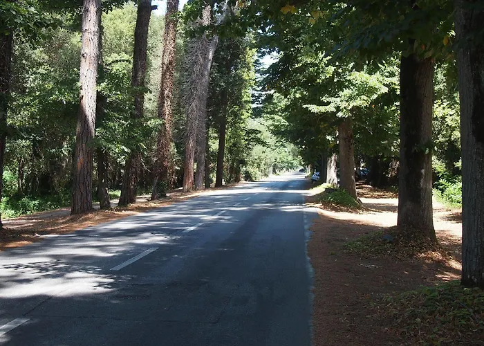 Massimo 3* Viareggio